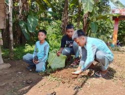 Siswa, Guru dan Warga Kompak Taman Pohon di SDN 244 Desa Salassae, Kolaborasi untuk Lingkungan Hijau