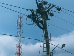 PLN ULP Kalumpang Lakukan Rekonduktor untuk Tingkatkan Keandalan Jaringan Listrik di Ara