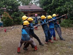 PLN ULP Sinjai Lakukan Rekonstruksi Jaringan dan Pemangkasan Pohon