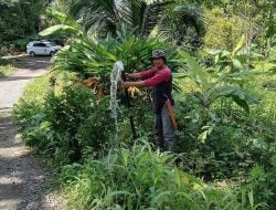 Bantu Warga Dapatkan Air Bersih, Pemdes Tamaona Bangun Sarana Air Bersih