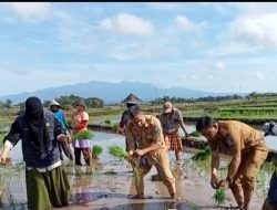 Dinas Pertanian Usulkan 15 Ribu Ha CPCL