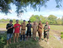 Program Land Clearing, Ubah Lahan Kurang Produktif Jadi Produktif