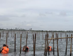 Terjadi Pelanggaran Pagar Laut Tangerang, Komisi IV DPR-RI Usulkan Bentuk Pansus