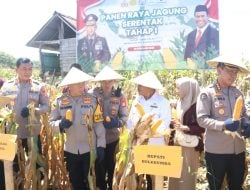 Bersama Kapolda Panen Raya Jagung, Pemkab Bulukumba Komitmen Sukseskan Ketahanan Pangan Presiden