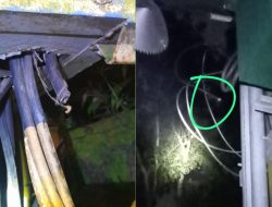 Pencurian Kabel Trafo di Gowa, PLN Imbau Masyarakat Melapor jika Temukan Pelaku