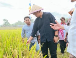 Bupati Bantaeng Uji Nurdin Evaluasi Pengecer, Terima Keluhan Petani Soal Kelangkaan Pupuk