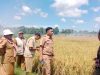 Desa Bajiminasa Siap Gelar Tanam Serentak Awal Mei, Gunakan Teknologi Drone hingga Transplanter