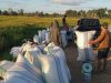 Bulog Bulukumba Pastikan Tak Ada Mitra Beli Gabah di Bawah Harga